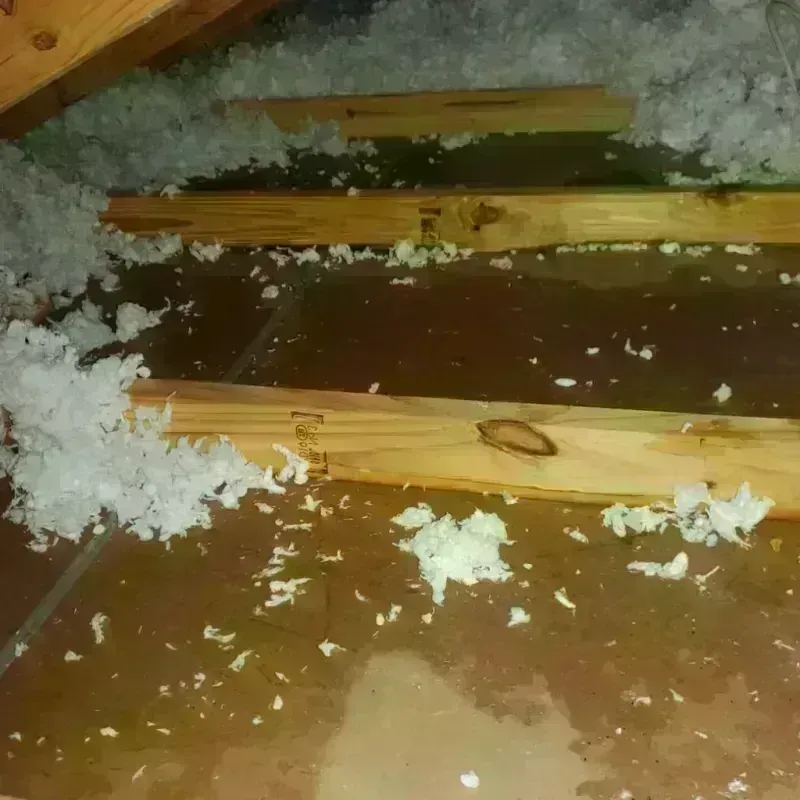 Attic Water Damage in Emery County, UT