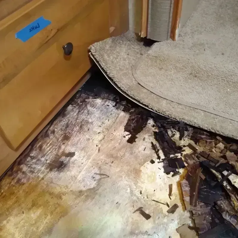 Wood Floor Water Damage in Emery County, UT